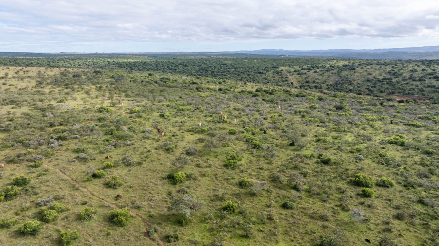 5 Bedroom Property for Sale in Grahamstown Rural Eastern Cape